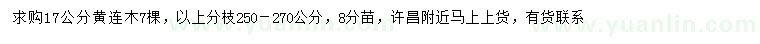 求購17公分黃連木