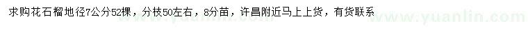 求購地徑7公分花石榴