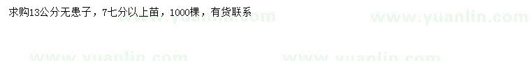 求購(gòu)13公分無(wú)患子