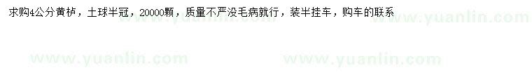 求購4公分黃櫨