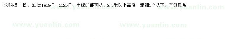 求購高2.5米以上樟子松