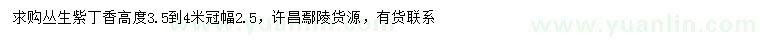 求購冠幅2.5米叢生紫丁香
