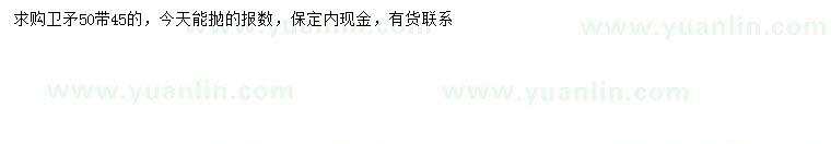 求購(gòu)45、50公分衛(wèi)矛