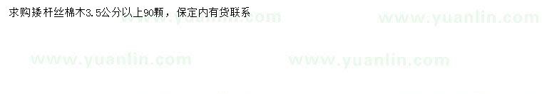 求購3.5公分以上絲棉木