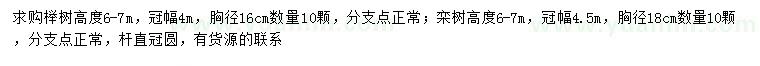 求購胸徑16公分櫸樹、胸徑18公分欒樹