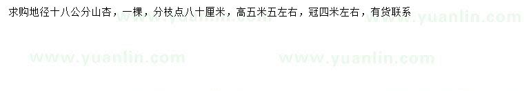 求購地徑18公分山杏