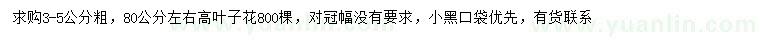 求購3-5公分葉子花