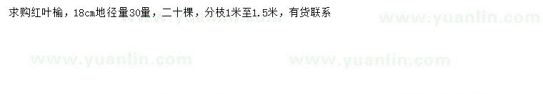 求購(gòu)30量18公分紅葉榆