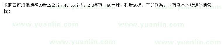 求購30量12公分西府海棠