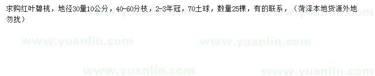 求購30量10公分紅葉碧桃
