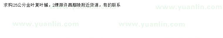 求購25公分金葉復葉槭