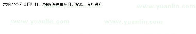 求購25公分美國紅楓