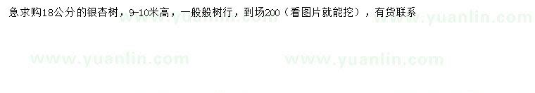 求購(gòu)18公分銀杏樹(shù)