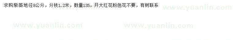 求購地徑8公分紫薇