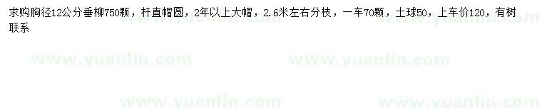 求購胸徑12公分垂柳