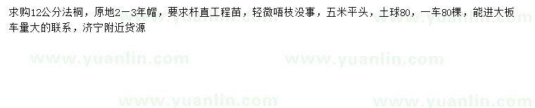 求購12公分法桐