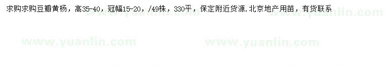 求購(gòu)高35-40公分豆瓣黃楊