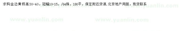 求購高30-40公分金邊黃楊