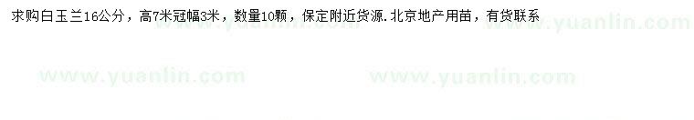 求購16公分白玉蘭