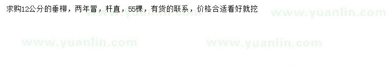 求購12公分垂柳