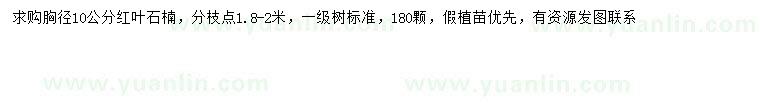 求購胸徑10公分紅葉石楠