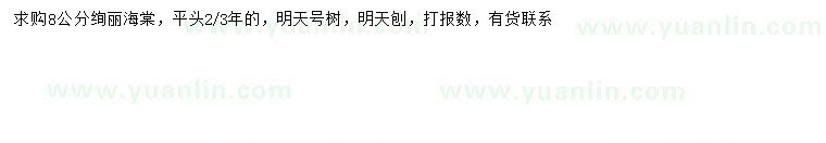 求購8公分絢麗海棠