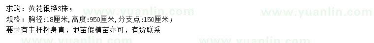 求購胸徑18公分黃花銀樺