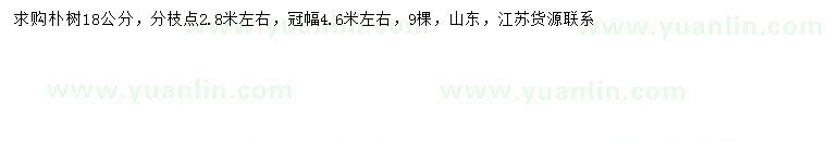 求購18公分樸樹