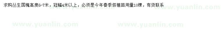 求購(gòu)冠幅4米以上叢生國(guó)槐