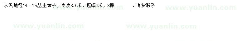 求購冠幅3米叢生黃櫨