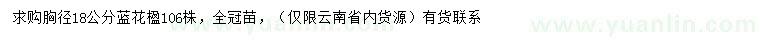 求購胸徑18公分藍(lán)花楹