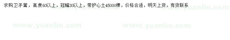 求購(gòu)高60公分以上衛(wèi)矛籬
