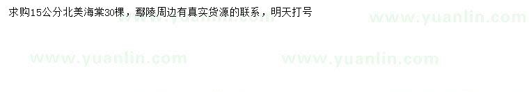 求購15公分北美海棠