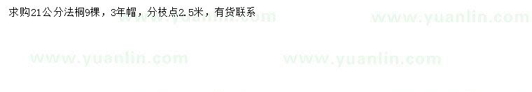 求購21公分法桐
