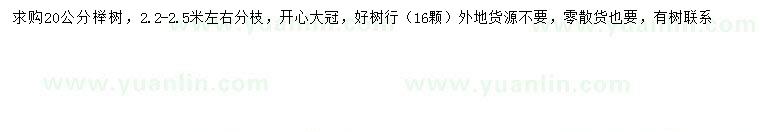 求購(gòu)20公分櫸樹