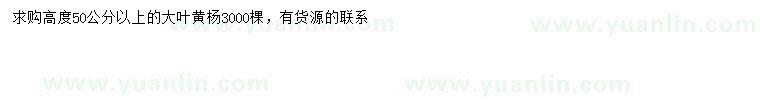 求購高50公分以上大葉黃楊