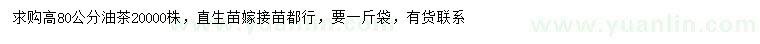 求購(gòu)高80公分油茶