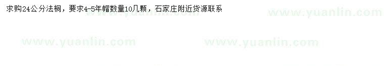 求購24公分法桐