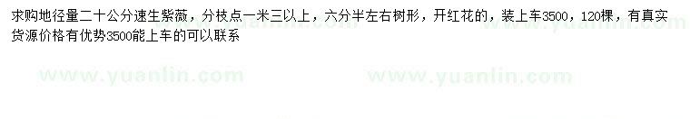 求購地徑20公分速生紫薇