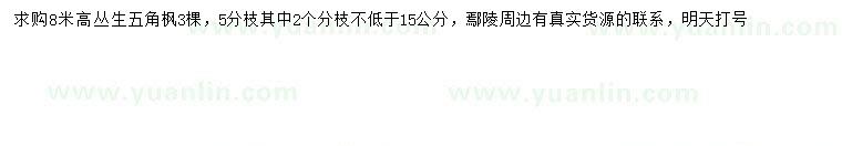 求購(gòu)高8米叢生五角楓
