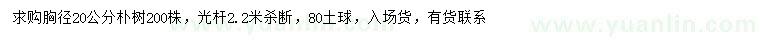 求購(gòu)胸徑20公分樸樹(shù)