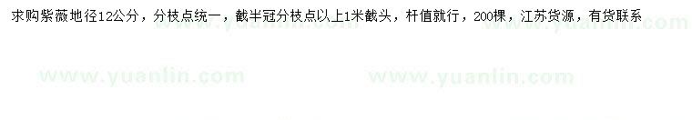 求購(gòu)地徑12公分紫薇