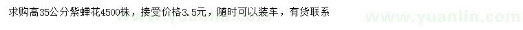 求購高35公分紫蟬花