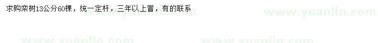 求購(gòu)13公分欒樹