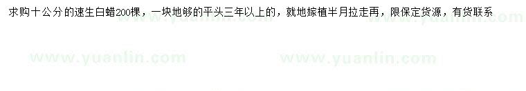 求購10公分速生白蠟