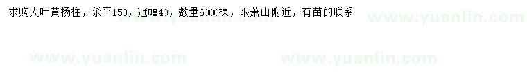 求購冠幅40公分大葉黃楊