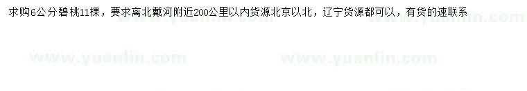 求購6公分碧桃