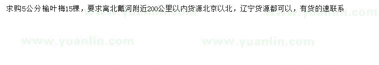 求購5公分榆葉梅