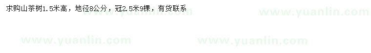 求購地徑8公分山茶