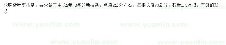 求購2公分左右紫葉李
